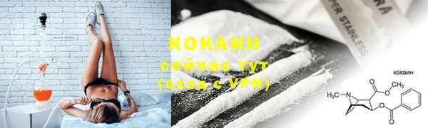 крисы Армянск