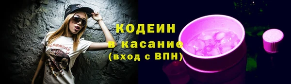 крисы Армянск