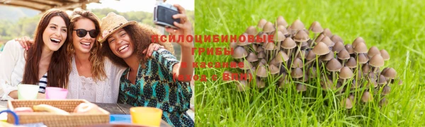 амфетамин Аркадак