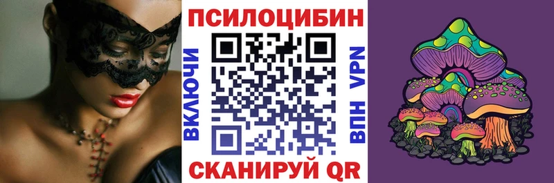 Псилоцибиновые грибы Psilocybe  закладка  Чудово 